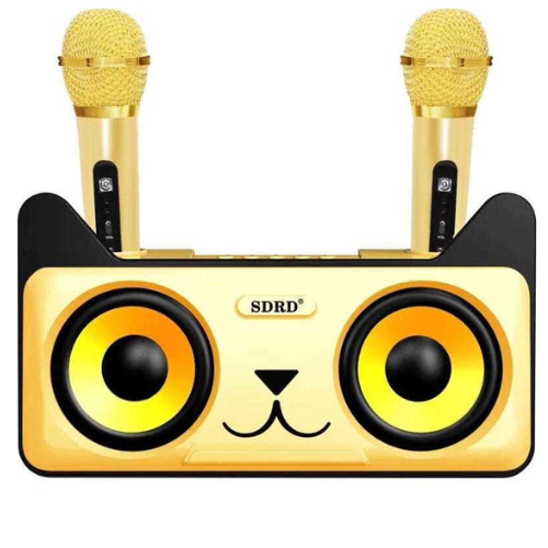 Σύστημα Karaoke με Ασύρματα Μικρόφωνα SDRD 305 σε Χρυσό Χρώμα