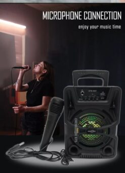 GTS 1637 Portable Bluetooth Speaker