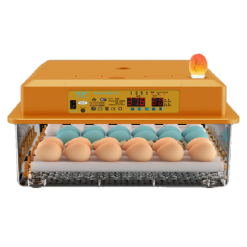 Incubator 36 eggs XWO-36 