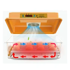 Incubator 36 eggs XWO-36