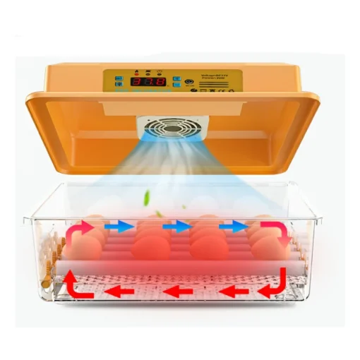 Incubator 36 eggs XWO-36