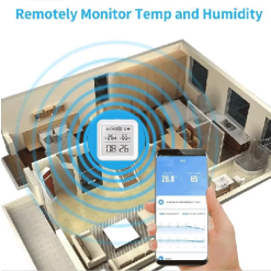 Wall Thermometer for Indoor Use