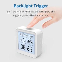 Wall Thermometer for Indoor Use